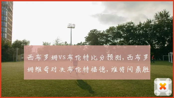 西布罗姆vs布伦特比分预测,西布罗姆维奇对决布伦特福德,谁将问鼎胜利